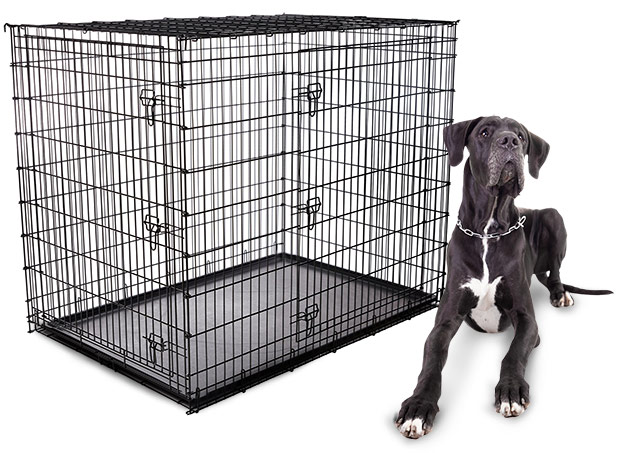 largest dog crates available