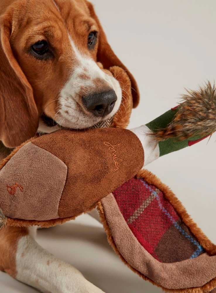 Joules Pheasant Dog Toy 